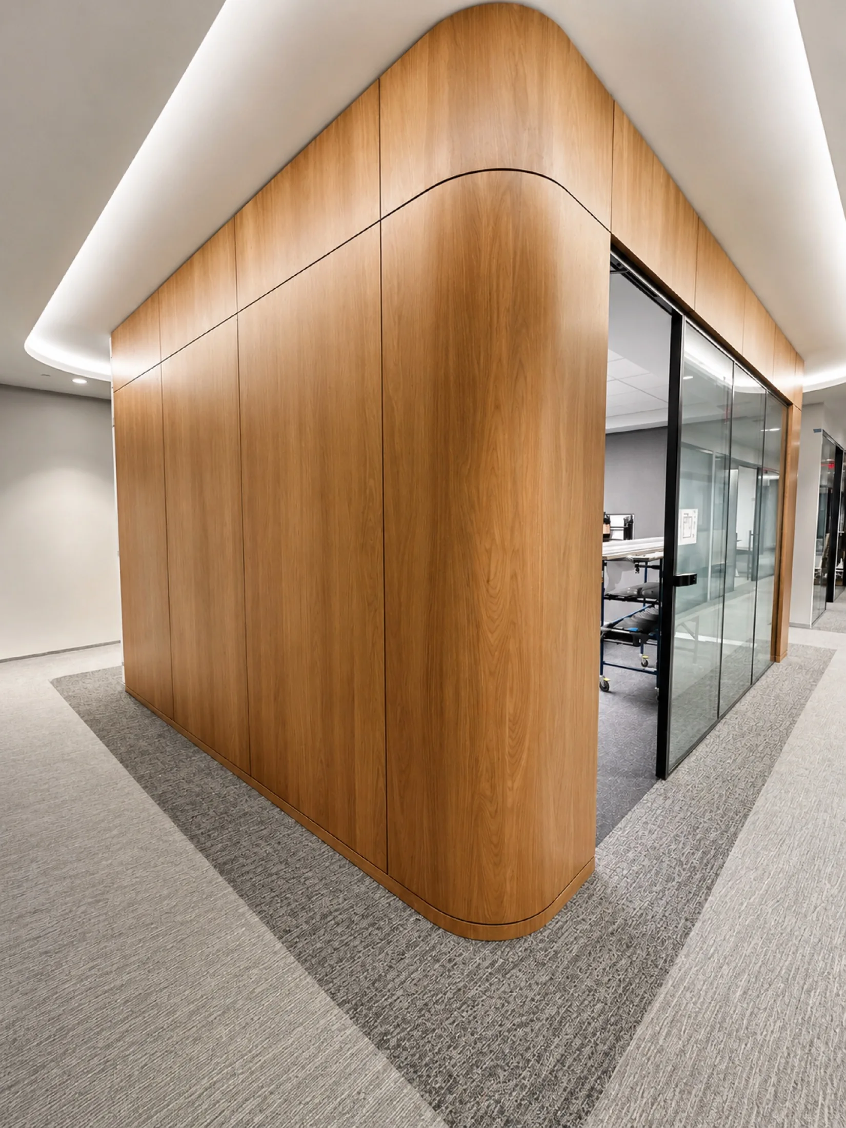 Roark Capital project detail 1